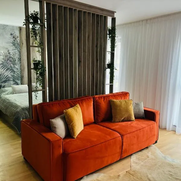 Cosmo Studio, хотел в Брашов