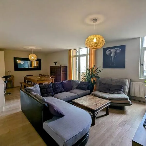 Bel appartement en rue piétonne, hotel v destinácii Roanne