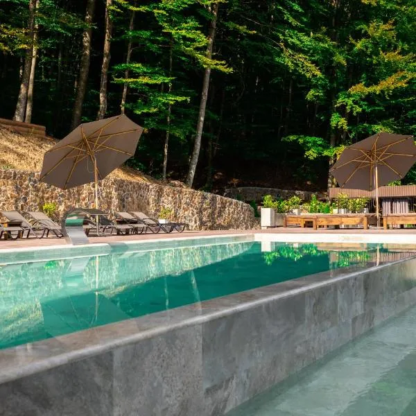 Oasis Karpat, hotel v destinaci Poljana
