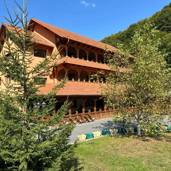 Pensiunea Casa Suciu, hotel di Cugir