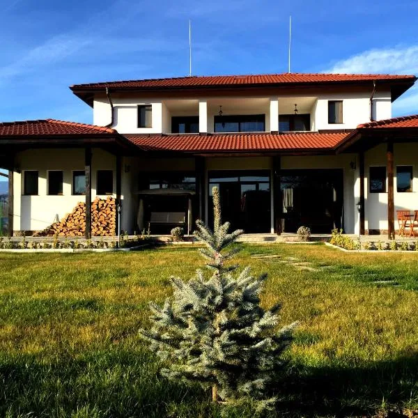 Guest House Hasiendata, hotel v destinaci Pavel Banja