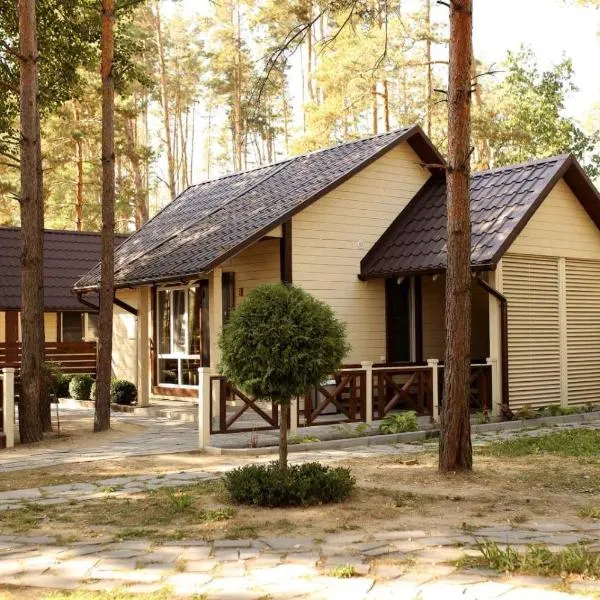 Комплекс На Дачі, hotel in Vyshpolʼ