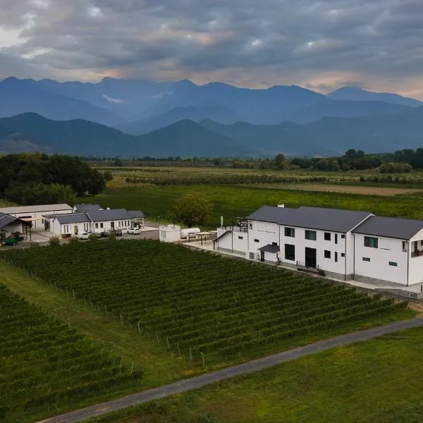 Eclipse Winery Boutique Hotel, hotel v destinaci Kvareli