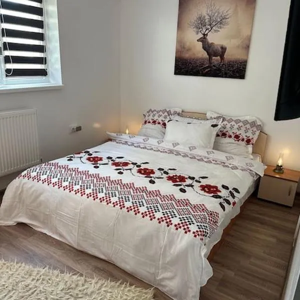 Chic Urban Retreat, hotel in Drîmbar