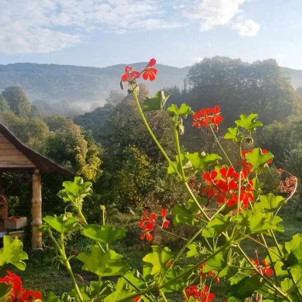 Pod Smerekiem, hotel v destinaci Wetlina