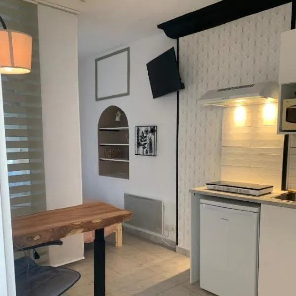 studio meublé tout confort 25m2, hotel a Loudun