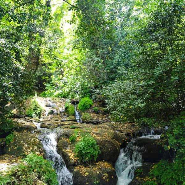 Selale Cennet Evleri, hotel v destinaci Kemer