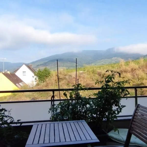 Au cœur du vignoble, hotel v destinaci Kaysersberg