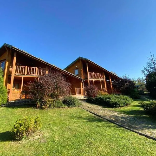 Arnika, hotel v destinaci Schidnycja