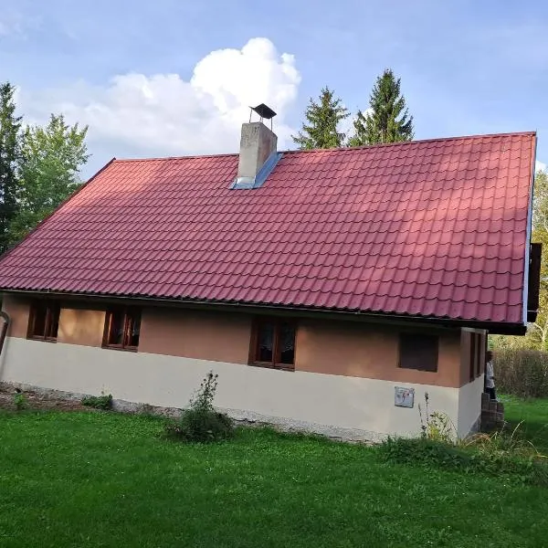 Chata U Devíti draků, hotel in Frymburk