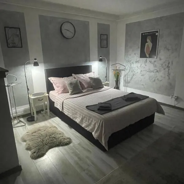 central studio LCS, hotel v destinaci Hunedoara