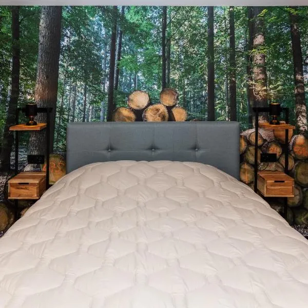 Comfortabel 2- persoons vakantiehuis nabij bos in Drenthe, hótel í Schoonoord