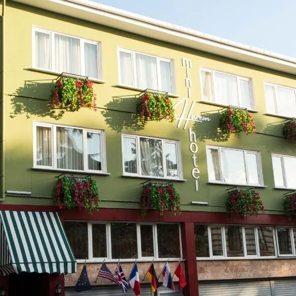 Mini Harem Hotel, Hotel in Istanbul