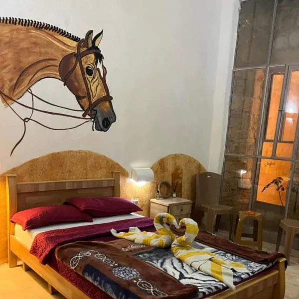 Dana star, hotel di Dana
