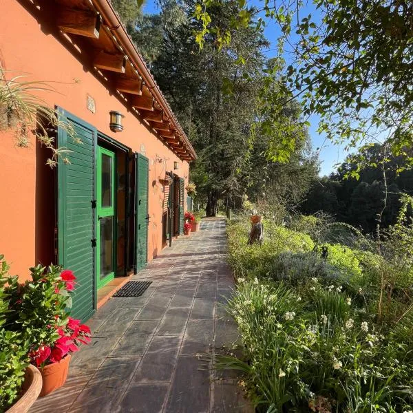 Finca El Lance Zumacal, hotel v destinaci Firgas