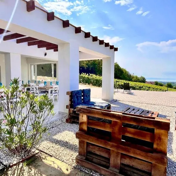 Antmann Bor Terasz Szállás, hotel v destinaci Balatoncsicsó