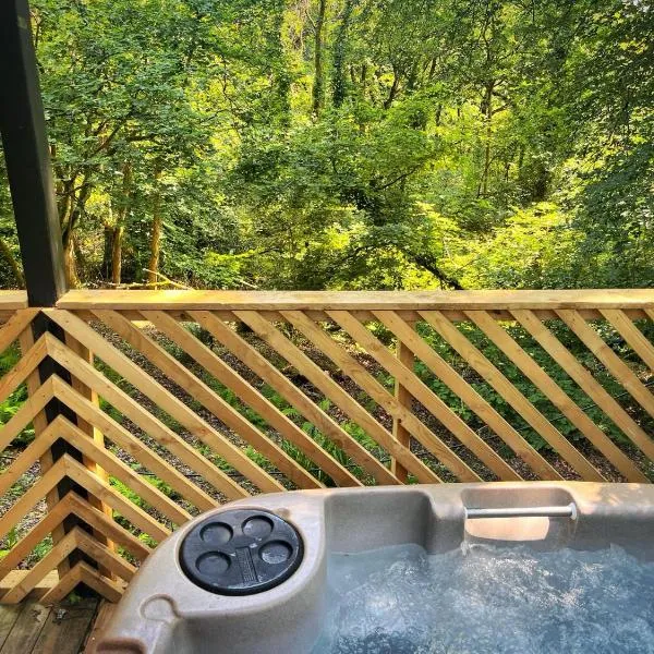 Goldcrest 3-Hot Tub-Woodland Lodges-Carmarthenshire-Tenby, ξενοδοχείο σε Carmarthen