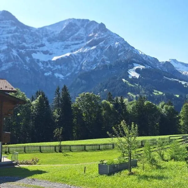 Chalet Casa Rosina, Hotel in Adelboden