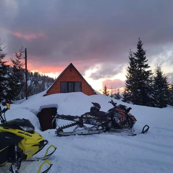 არწივის ბუდე eagle's nest, hotel in Goderdzi