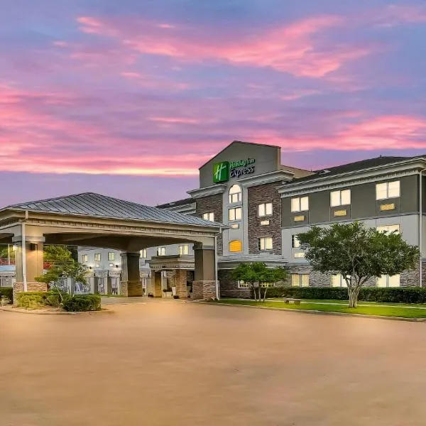 Holiday Inn Express Palestine by IHG, hotel in Palestine