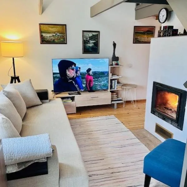 Quiet private cottage with sauna in Lahemaa National Park-Altja Villa, hótel í Altja