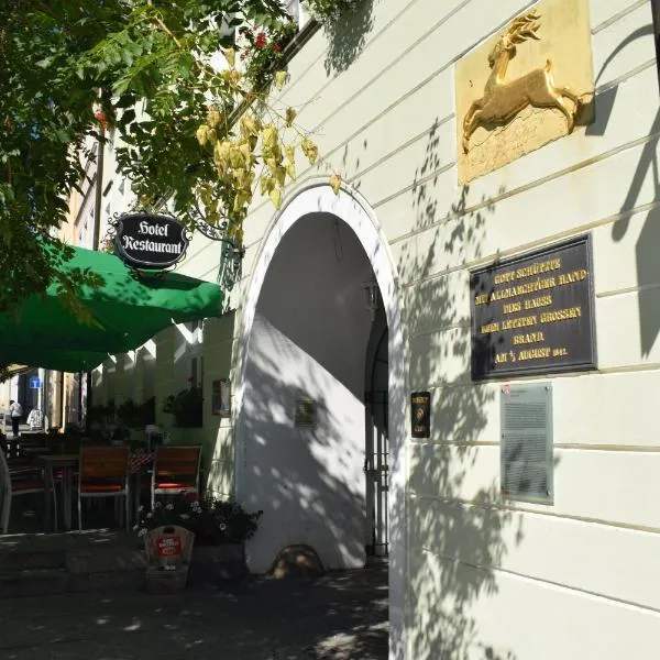 Akzent Hotel Goldner Hirsch, hotel v destinaci Kamenec