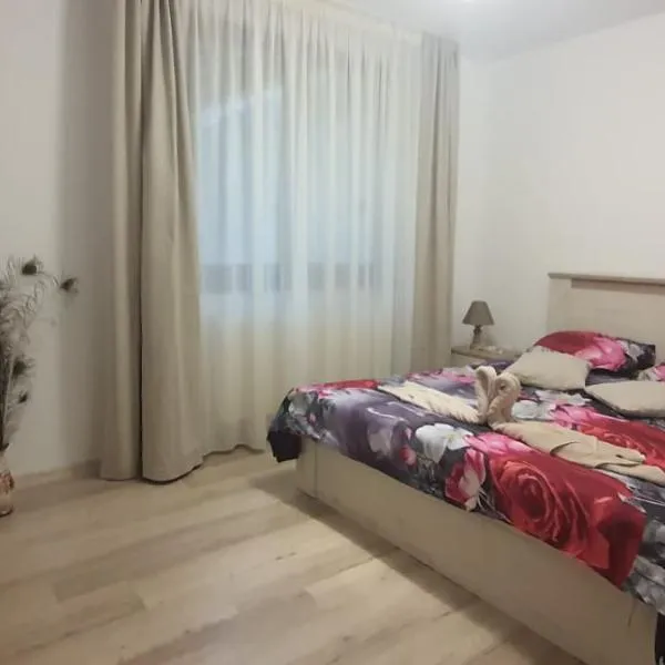 Apartament Narcis, hotel v destinaci Săcele