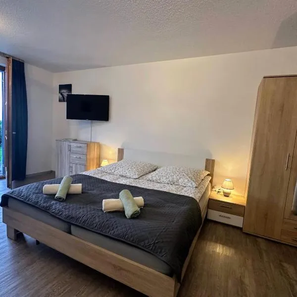 Apartament Oase der Ruhe，Schöfweg的飯店