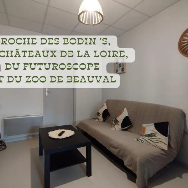 Appartement centre Descartes, hotel v destinaci Descartes