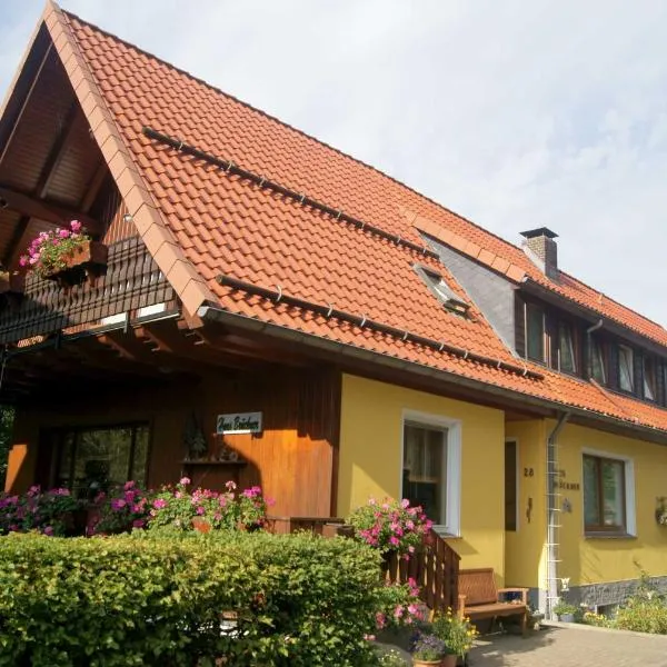 Pension Haus Brückner, hotel in Wildemann