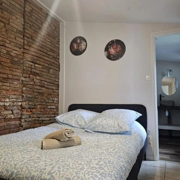 L'Aristide proche gare parking facile, hotel en Montauban