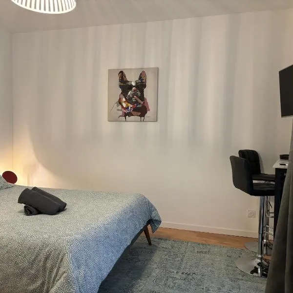 Les Studios de Clément, hotel in Poitiers