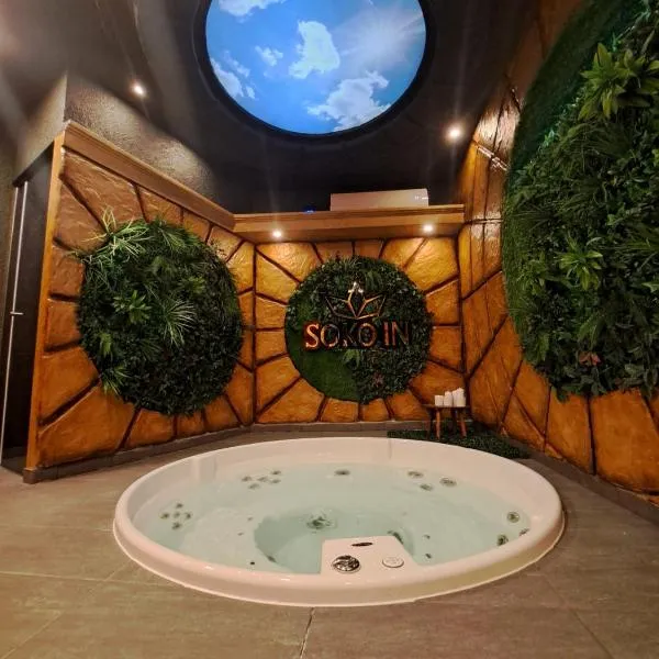 Soko IN Spa, hotel v destinaci Soko Banja