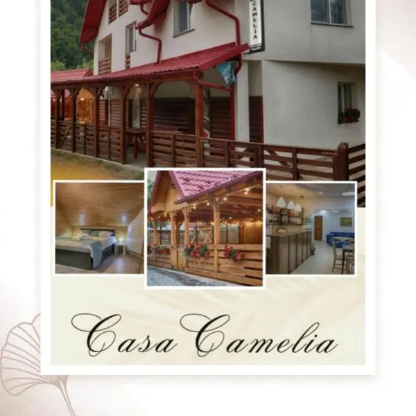Casa Camelia, hotel v destinaci Săcel