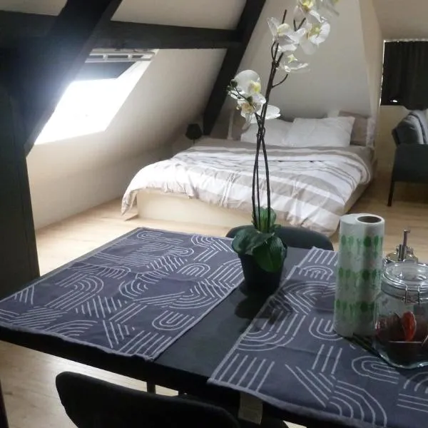 Flat at Relegem, hotel in Asse