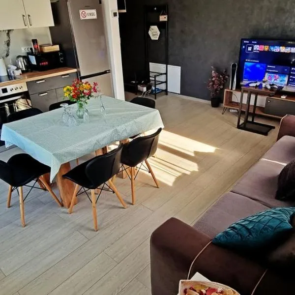 AmurResidence Sauna 5 APARTMENTS free Parking, hotel v destinaci Iaşi