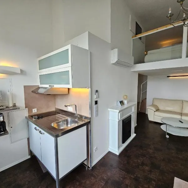Galerie Apartment Leon, hotel in Kippenheim