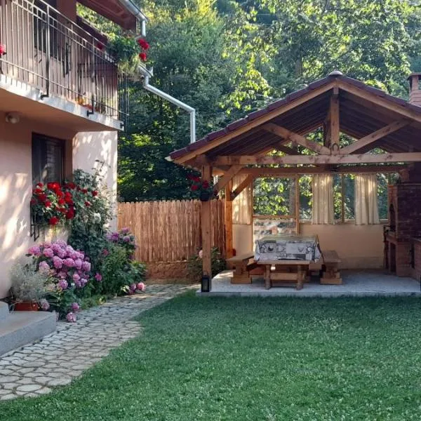 Casa Iulia & Matei, hotel v destinaci Cîrţişoara