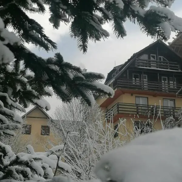 Pensiunea Vladis, hotel v destinaci Lupeni