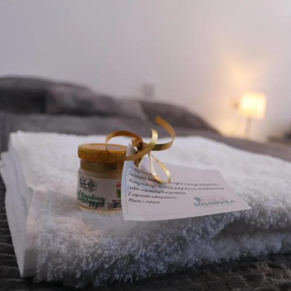 Sosnówka Pokoje Gościnne, hôtel à Borne Sulinowo