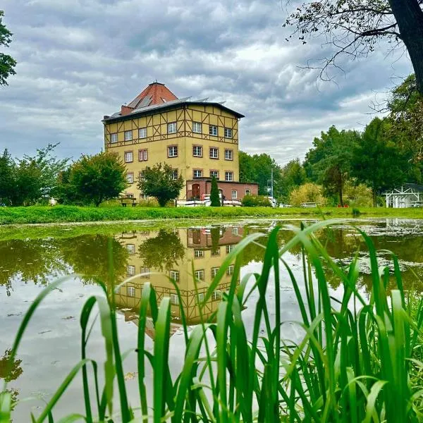 Młyn Witowice, hotel in Witowice