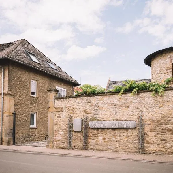 Weingut Petershof, hotel v destinaci Alzey