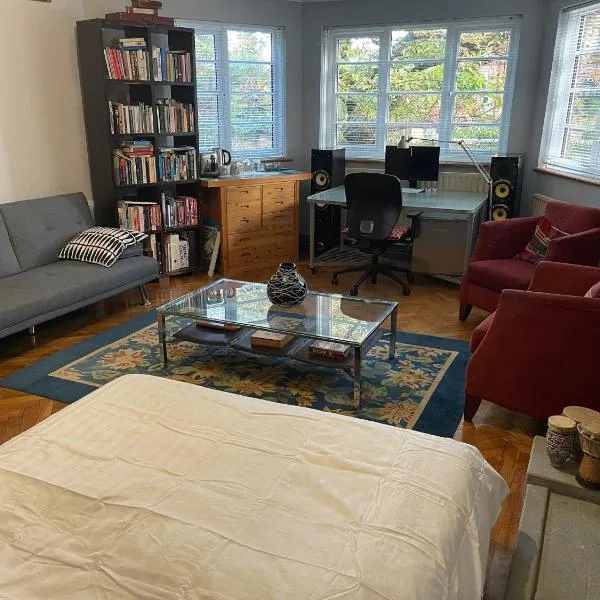Large Double Bedroom 10 minutes to Central London, hotel v Londýně