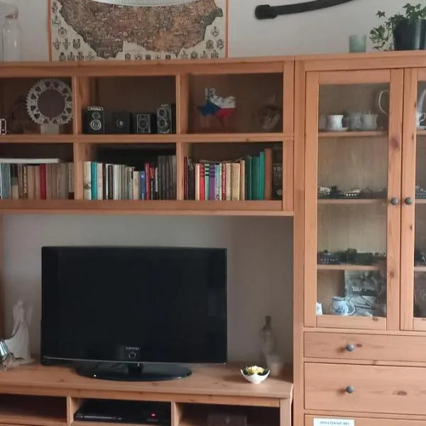 u Míši v Brdech, hotel v Příbrami
