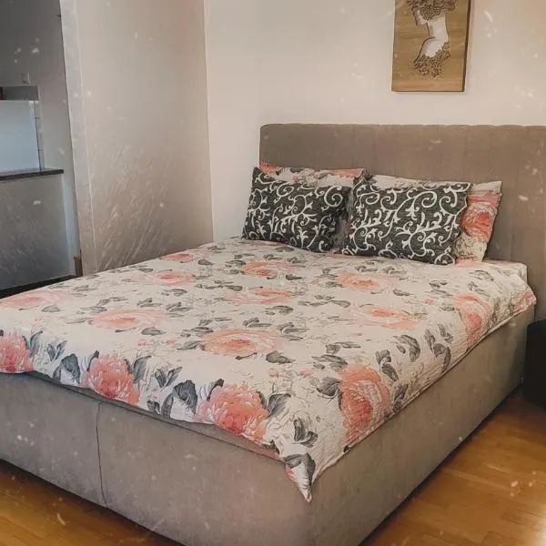 Stan na dan Valentina, hotel in Loznica