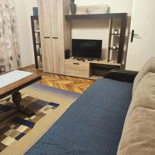 Apartman Nešković, hotel em Veliko Gradište