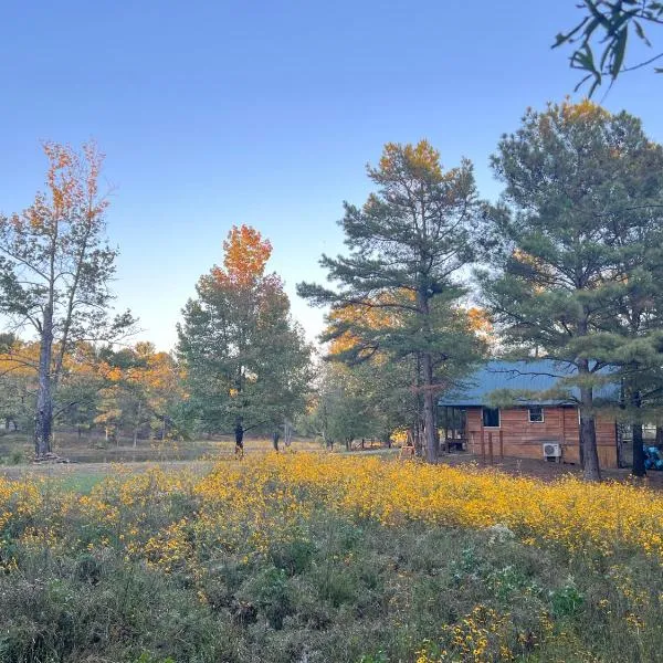 Luxury Cabin with Fishing Pond-Hot Springs, hotel v destinaci Pearcy