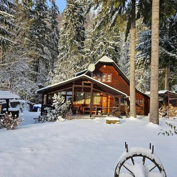 Fabian Kulcsoshaz, hotel di Izvoare