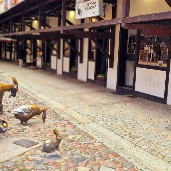 100 steps from Rynek, hotel in Wrocław