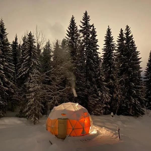 Dome Glamping with shared bathroom, hotel in Lillehammer